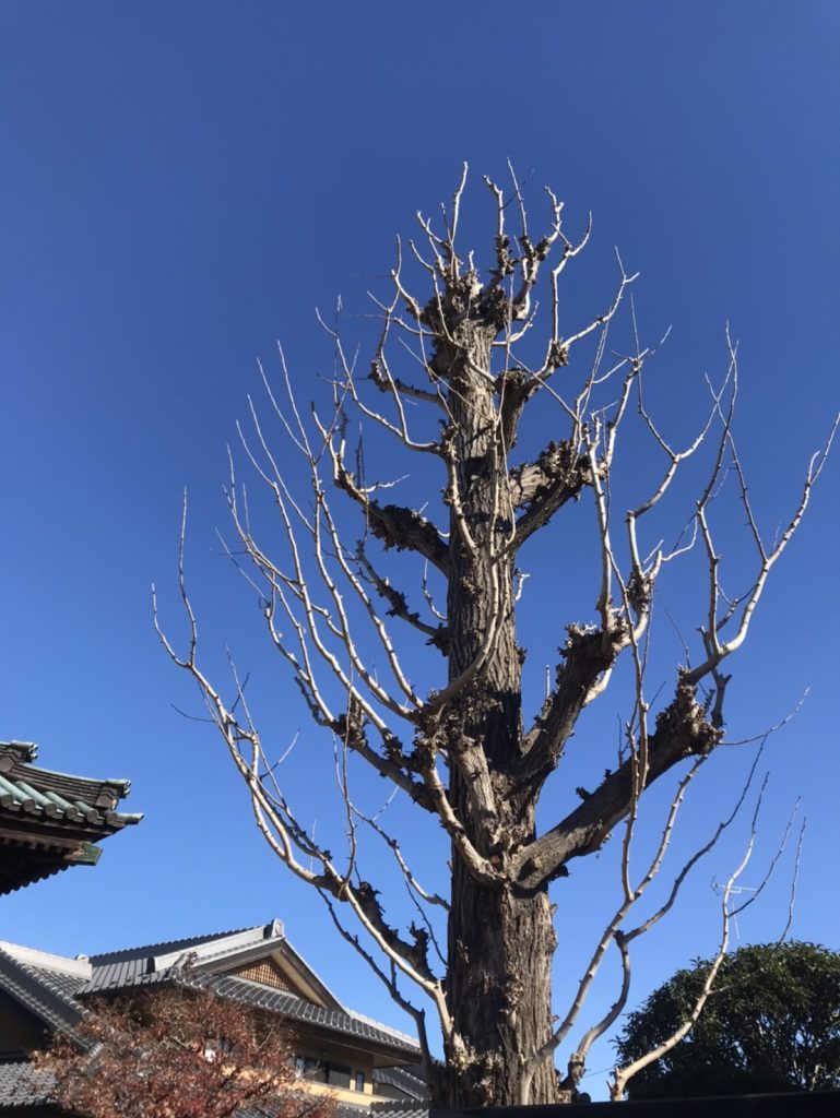 寺社造園の施工例