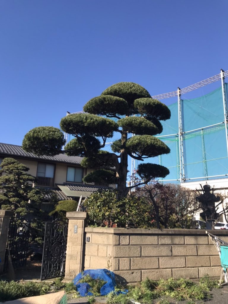 個人宅の造園